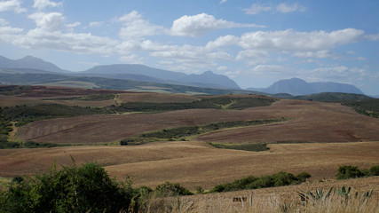 Obraz premium Landschaft in Südafrika/ Hügelige Landschaft in der Provinz Westkap in Südafrika im Herbst, Felder und im Hintergrund die Langeberg Mountains, 