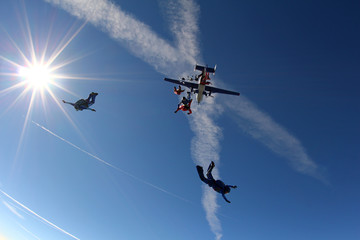 Skydivers in the sky