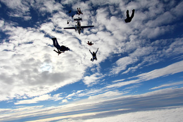 Skydivers in the amazing blue sky.