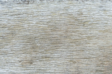 Brown wood texture. Abstract background, empty template,selective focus..