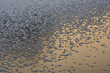Frozen lake - ice texture