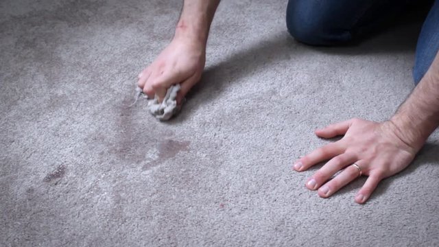 Home Owner cleaning up Dog Pee on carpet floor
