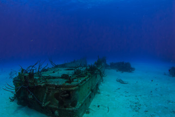 A sunken shipwreck that can be seen by scuba divers in Grand Cayman in the Caribbean. The old landing craft rests in the sand and has coral growing out of her