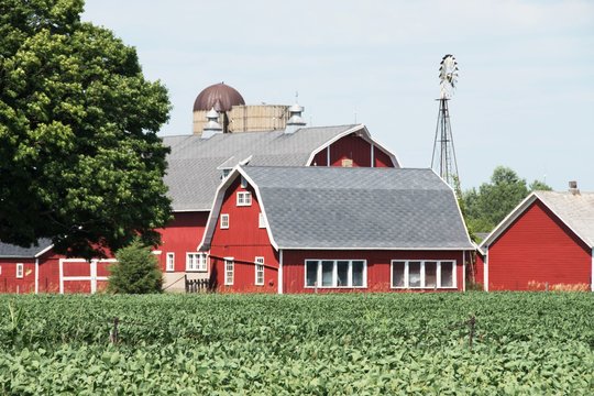 Farm with Windmill