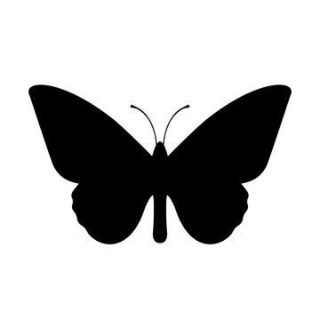 Butterfly vector icon
