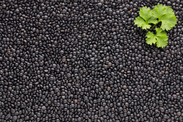 Food and cookery background of healthy dried  black lentils.