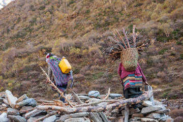 Ocotber 9, 2013, women carry dry wood to their homes in highland of Himalayas