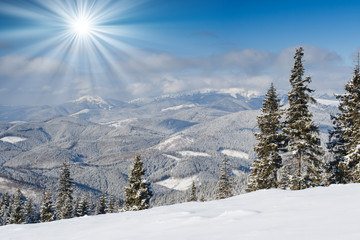 Fototapeta premium winter landscape