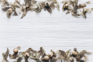 Easter eggs and feathers in the nest and blank for your text on white background.