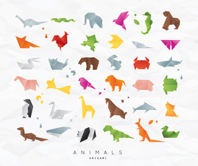 Animals origami set color - obrazy, fototapety, plakaty