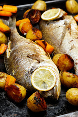 Baked Dorado fish with vegetables