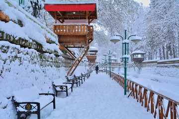 Naklejka premium Donmuş değirmen