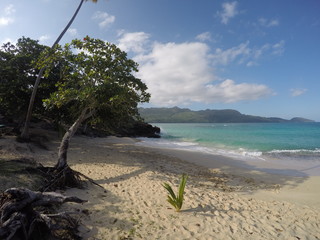 Beach in Dominican Republic