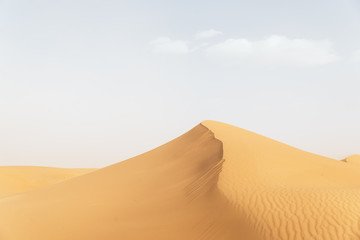 Fototapeta na wymiar Gold desert in sunset.
