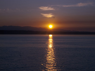 Reflection at Sunset
