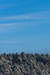 Daytime moon above the snowy forest in the winter