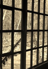 Gleise durch den Park hinter Gittern