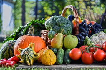 Variety of fresh organic vegetables and fruits in the garden