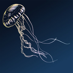 Vector illustration jellyfish. Painted by hand.