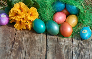 Easter eggs in nest on old wooden background with yellow flower