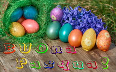 Easter eggs in nest on old wooden background with blue hyacinths flower and Text Buona Pasqua