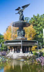 Angel of the Waters statue at Bethesda Terrace
