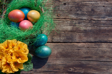 Easter eggs in nest on old wooden background with yellow flower