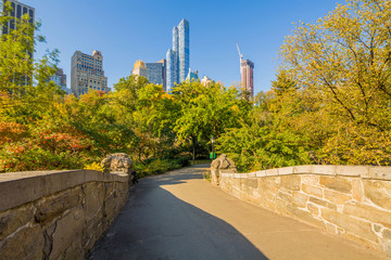 Central Park in the Autumn