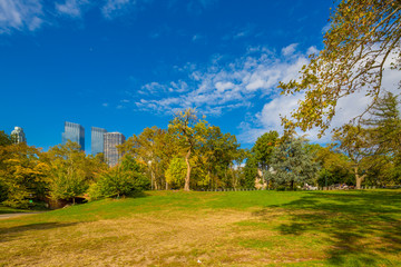 Central Park in the Autumn