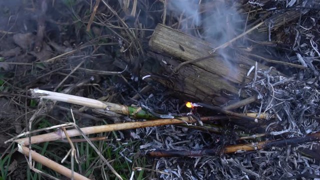 Burning dry grass and branches. Slow motion