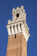 Obraz premium Siena town hall