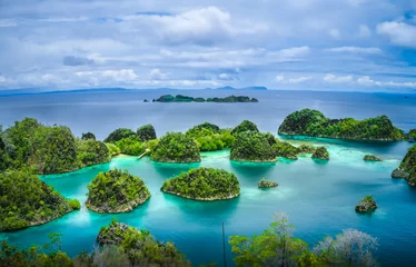 Fotobehang Pianemo Islands, Raja Ampat, West Papua, Indonesia © Igor Tichonow