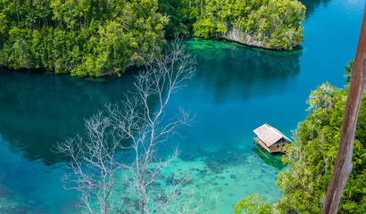 Bamboo Hut in Mangrove near Warikaf Homestay, Kabui Bay and Passage. Gam Island, West Papuan, Raja...