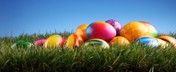 Fototapeta na wymiar Row of Easter eggs in Fresh Green Grass