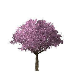 Obraz premium Pink Tree of computer graphics.