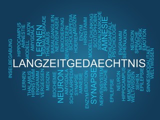 Langzeitgedächtnis