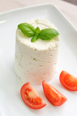 Selection of cheese - organic dairy products