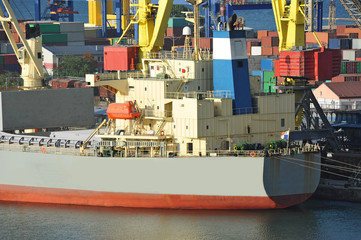 Bulk cargo ship under port crane