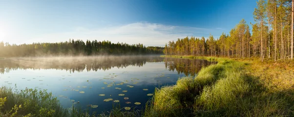 Selbstklebende Fototapete See / Teich Ruhiger Morgen am Waldteich