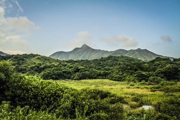Obraz premium Mountains with jungle