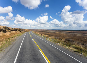 On the road in New Zealand between the Tongariro national park and Wellington in the north island.