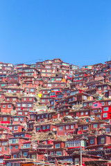 Red monastery and home at Larung gar (Buddhist Academy) in sunshine day and background is blue sky, Sichuan, China.