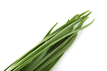 Fototapeta premium ニラ Chinese chive