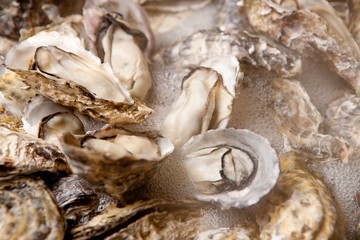 Braised Oysters