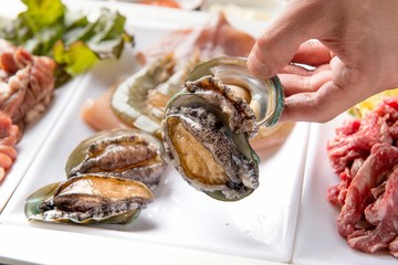 Abalones 살아있는 전복