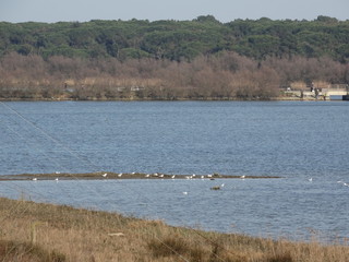 natura sulle valli con fiume