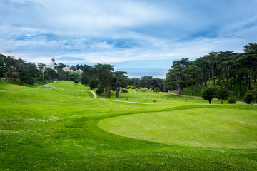 Fototapeta na wymiar Green Gold Fields in San Francisco. California, United States.