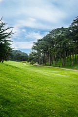 Green Gold Fields in San Francisco. California, United States.