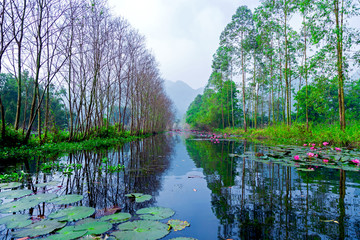 Van Long Natural Reserve in Ninh Binh, Vietnam