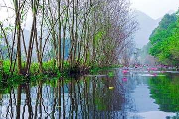 Van Long Natural Reserve in Ninh Binh, Vietnam